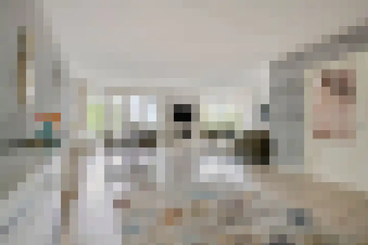 Steekterweg 80 G Alphen aan den Rijn thumbnail 25
