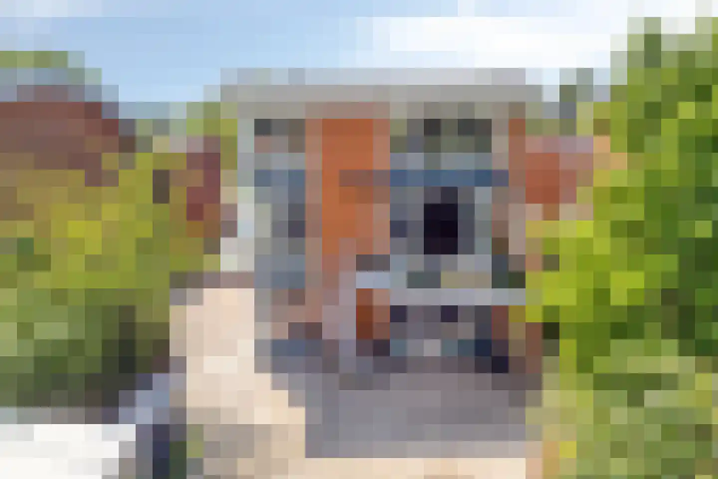 Steekterweg 80 G Alphen aan den Rijn thumbnail 47