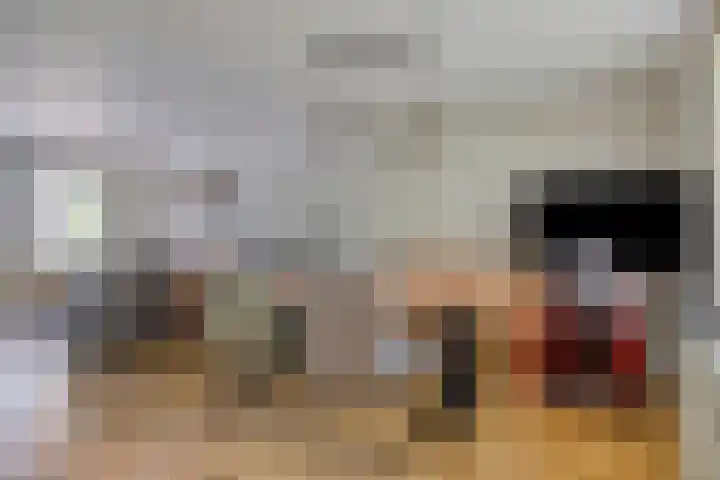Steeland 20 Westdorpe thumbnail 10