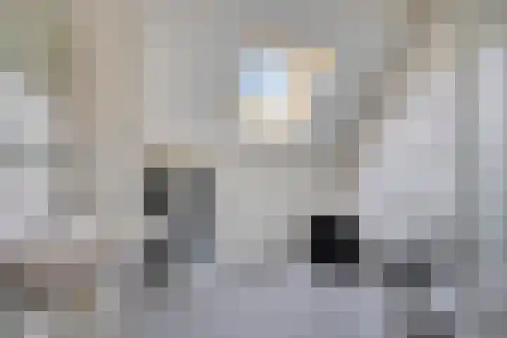 Steeland 20 Westdorpe thumbnail 16