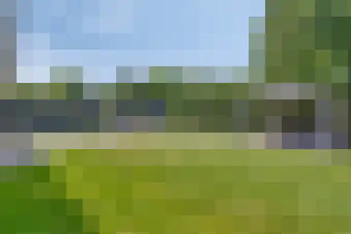 Steeland 20 Westdorpe thumbnail 26