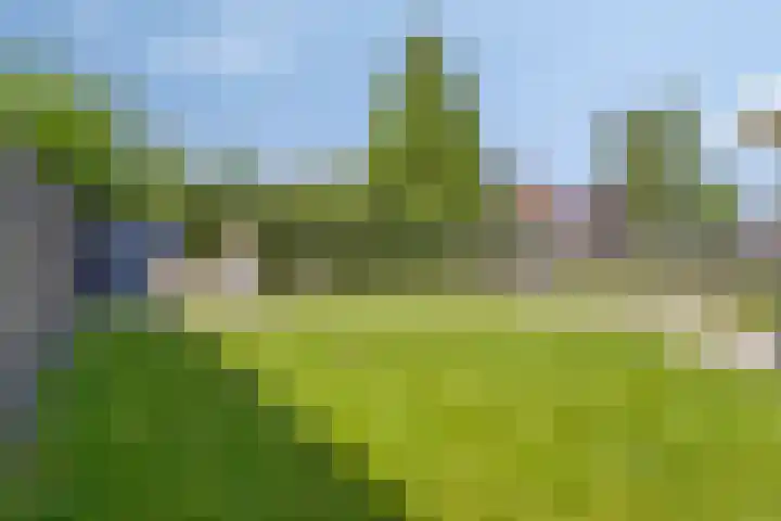 Steeland 20 Westdorpe thumbnail 27