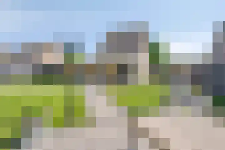 Steeland 20 Westdorpe thumbnail 29