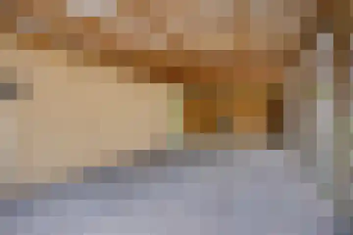 Steeland 20 Westdorpe thumbnail 31
