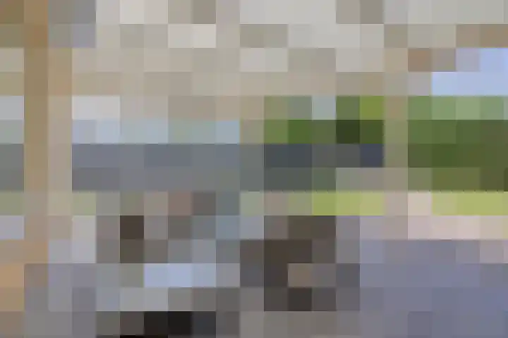 Steeland 20 Westdorpe thumbnail 4