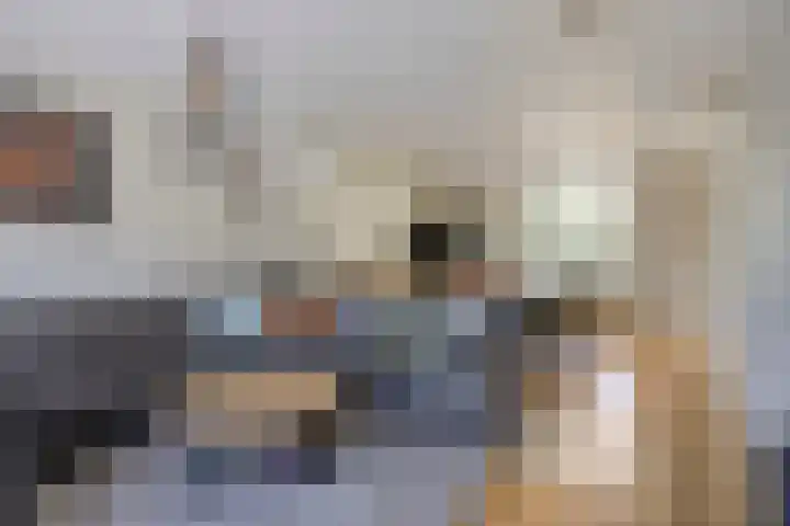 Steeland 20 Westdorpe thumbnail 7