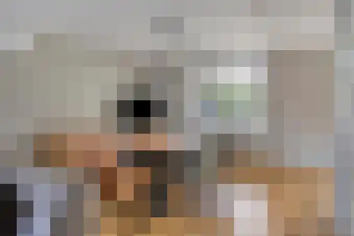 Steeland 20 Westdorpe thumbnail 9