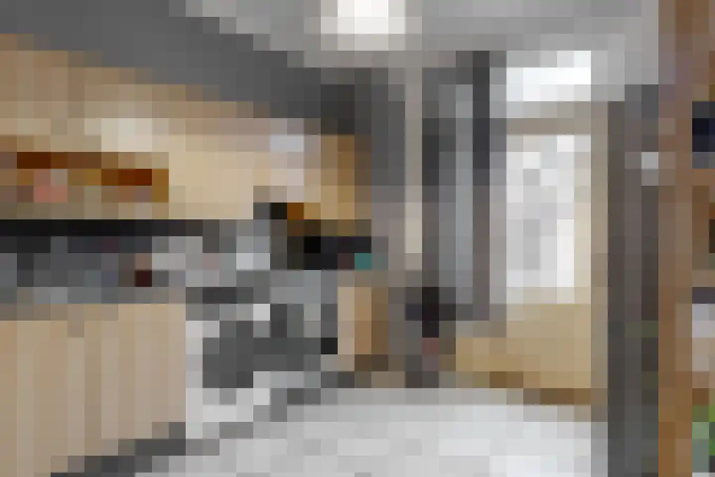 Steeleiland 3 Roermond thumbnail 6