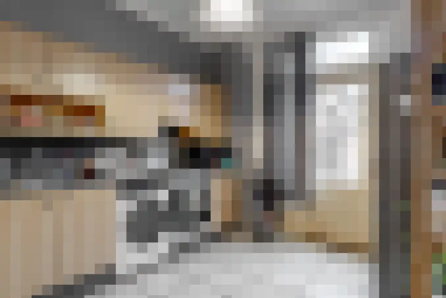 Steeleiland 3 Roermond thumbnail 7