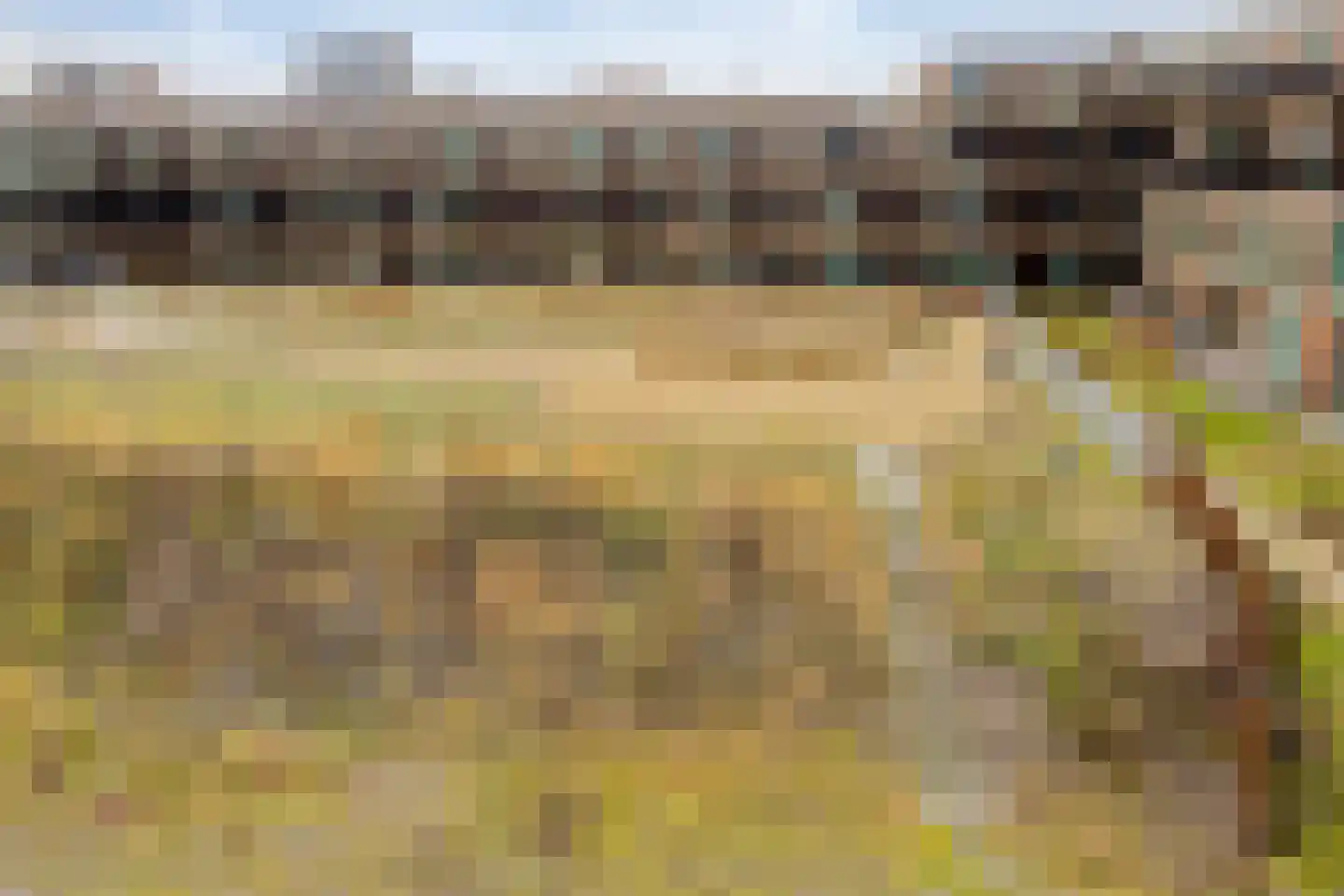 Steelvlietplein 44 Amsterdam thumbnail 34