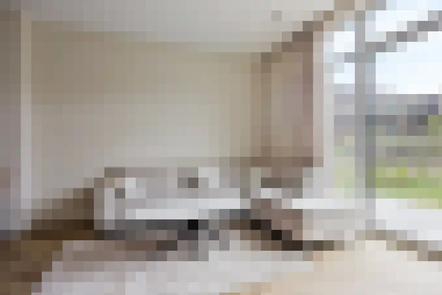Steelvlietplein 52 Amsterdam thumbnail 7