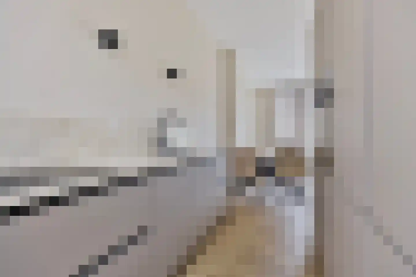 Steelvlietplein 52 Amsterdam thumbnail 9