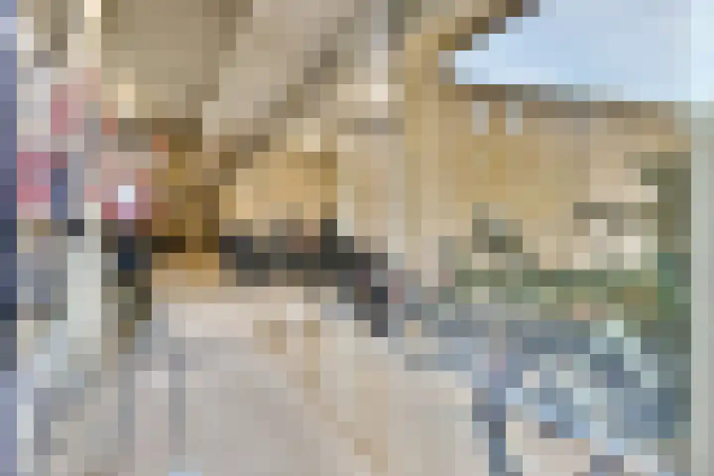 Steelvlietplein 86 Amsterdam thumbnail 26