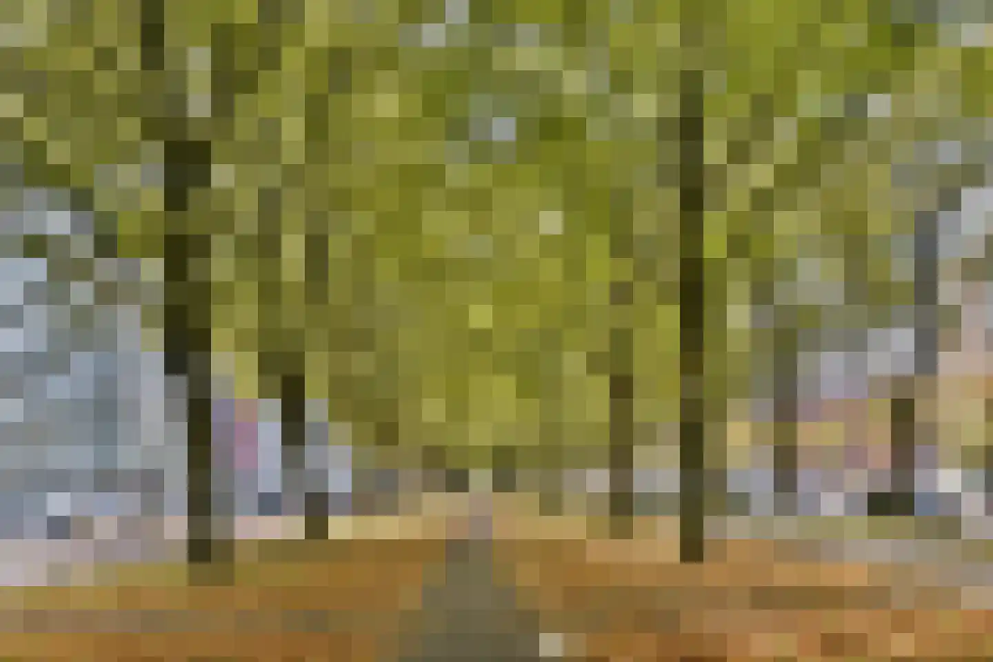 Steelvlietplein 86 Amsterdam thumbnail 31