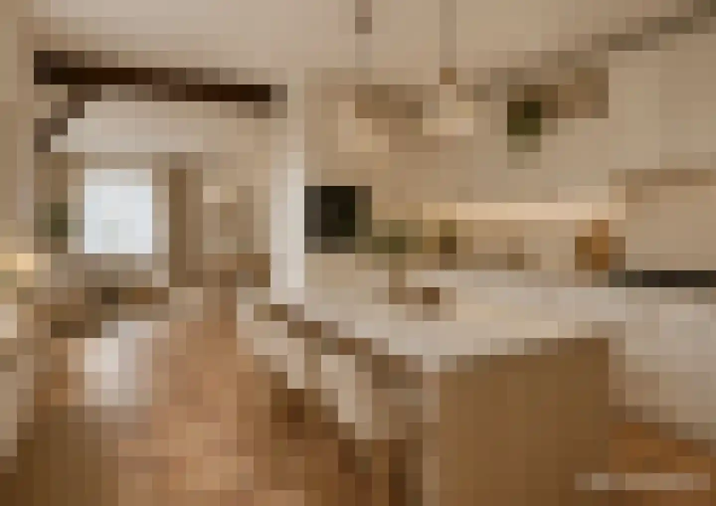 Steemertseweg 2 Lierop thumbnail 20