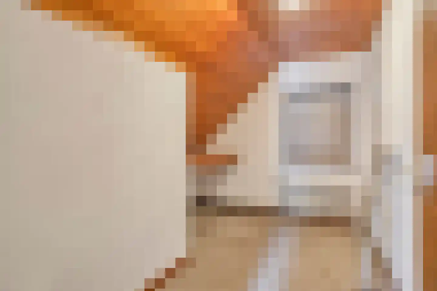 Steemertseweg 2 Lierop thumbnail 28