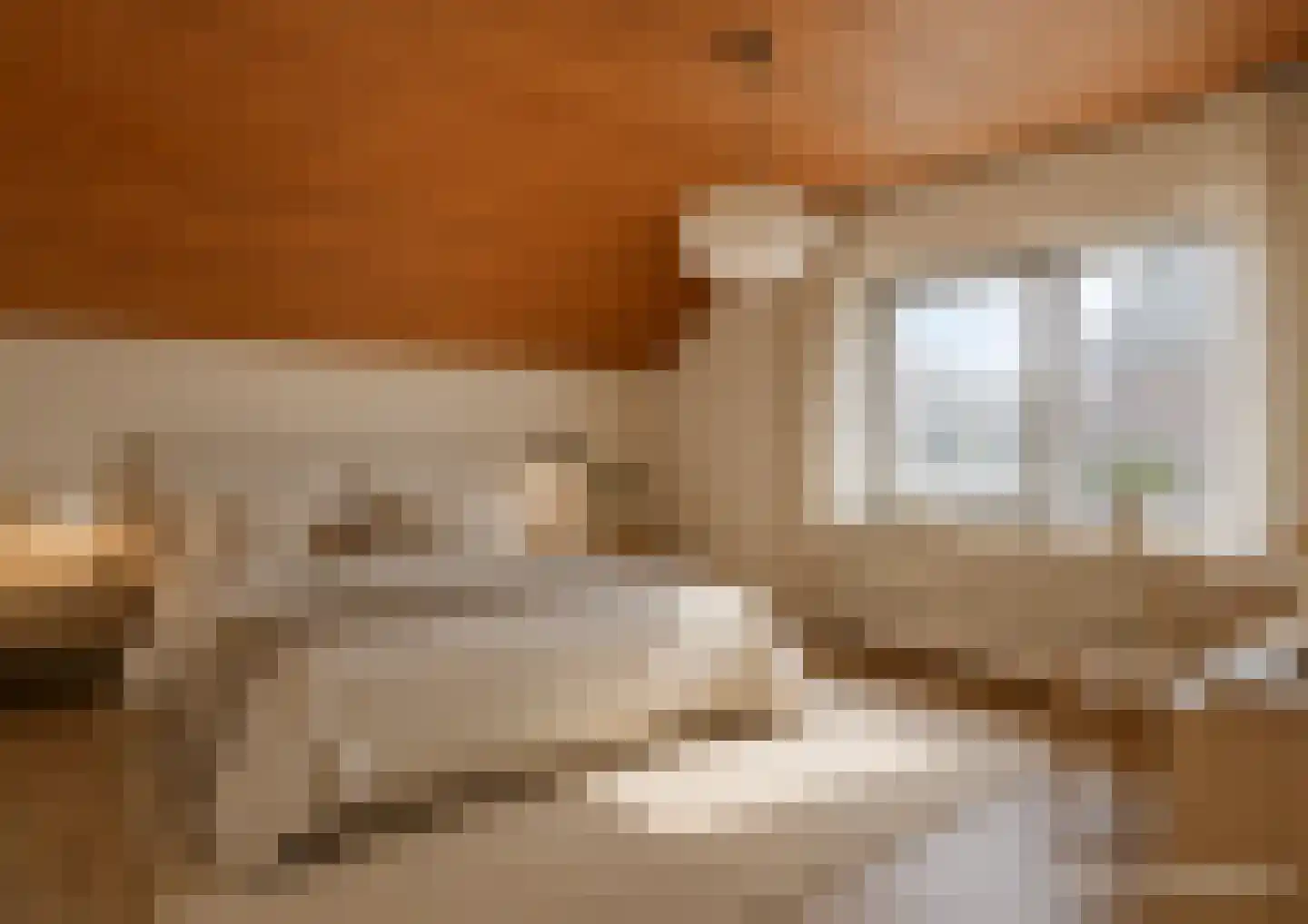 Steemertseweg 2 Lierop thumbnail 31