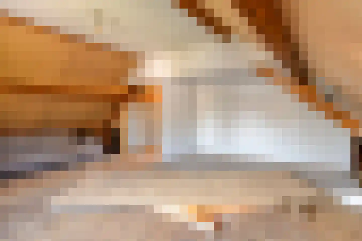 Steemertseweg 2 Lierop thumbnail 31