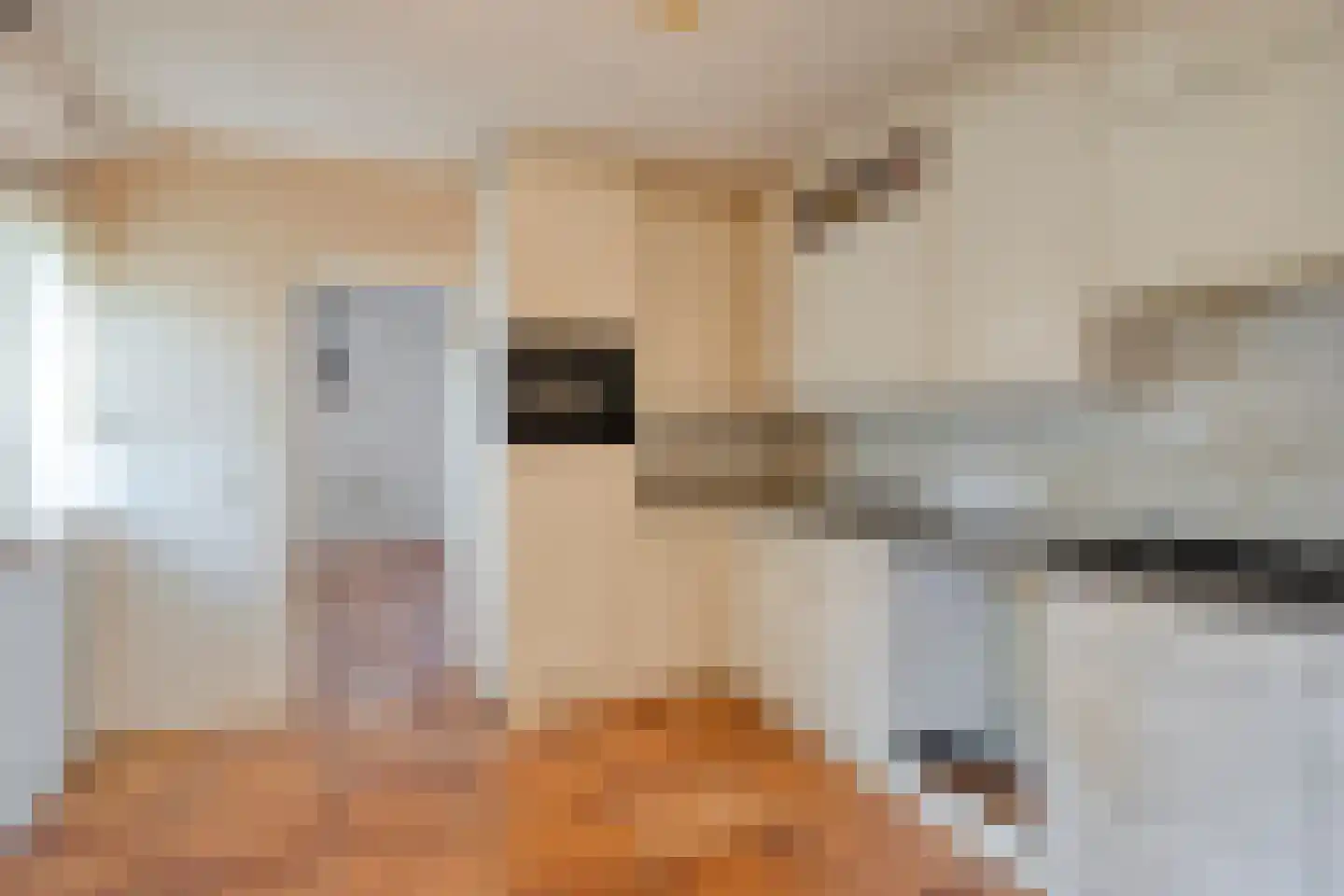 Steemertseweg 2 Lierop thumbnail 4