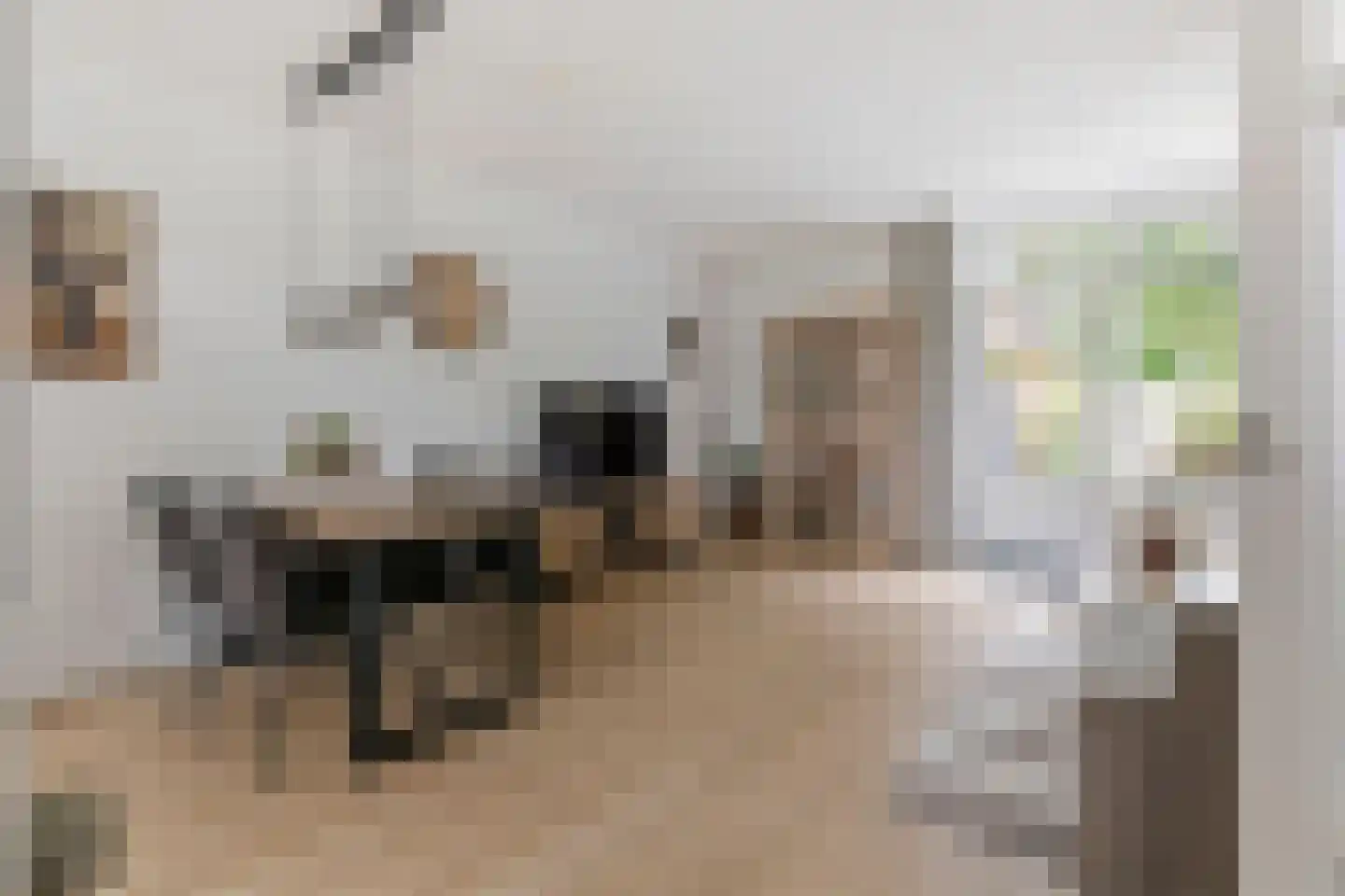 Steenakker 114 Druten thumbnail 10