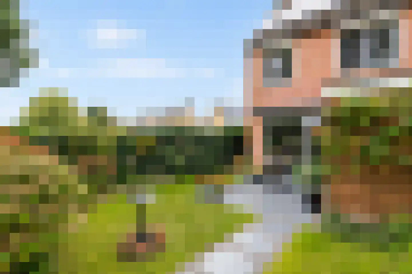 Steenakker 114 Druten thumbnail 29