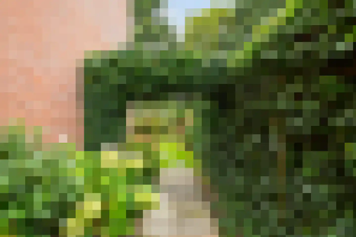Steenakker 114 Druten thumbnail 30