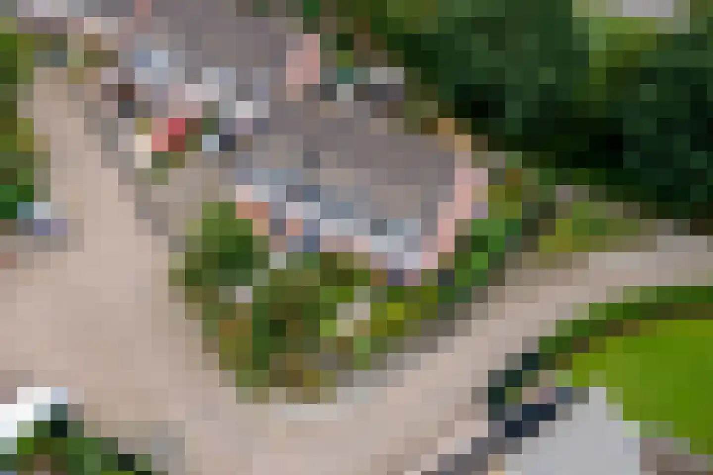 Steenakker 114 Druten thumbnail 33