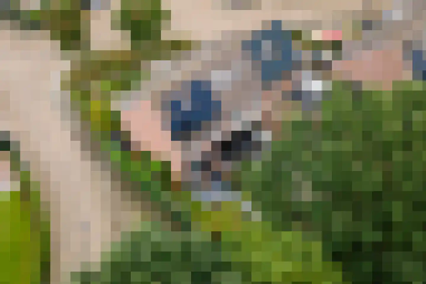 Steenakker 114 Druten thumbnail 34