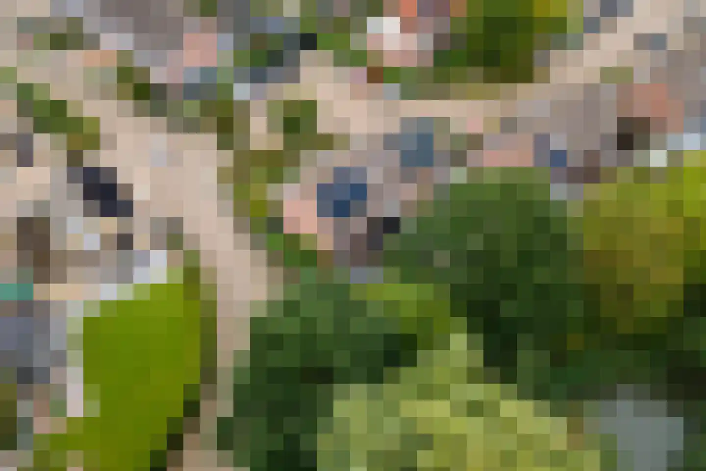 Steenakker 114 Druten thumbnail 35