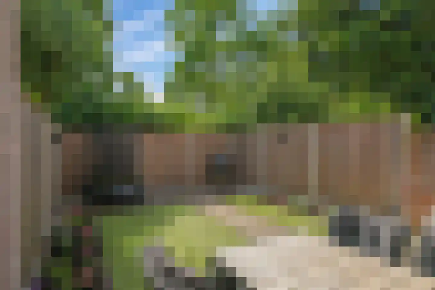 Steenakker 12 Gendt thumbnail 4