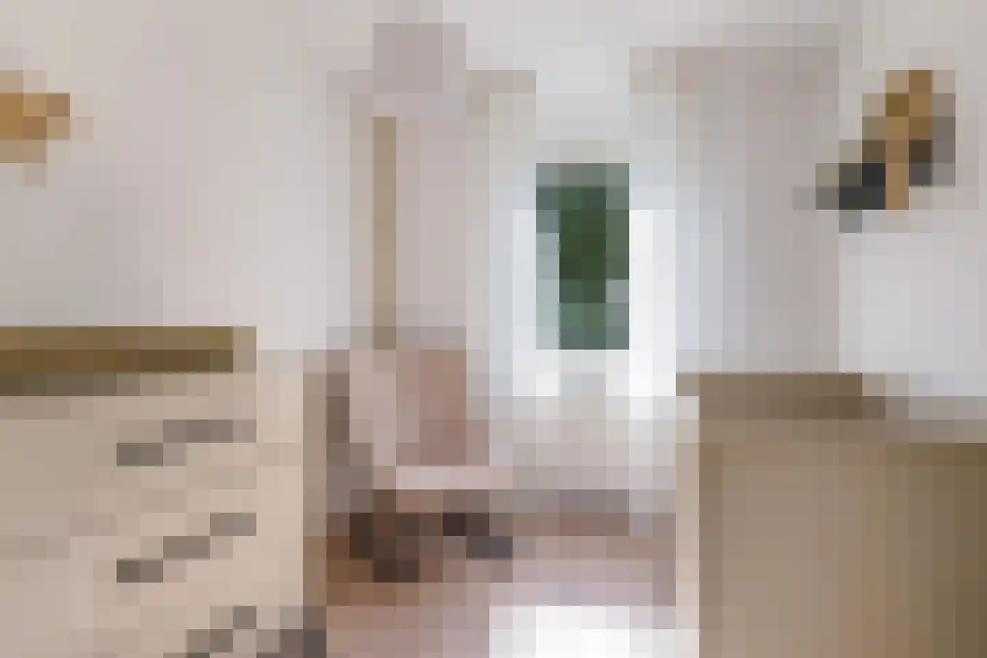 Steenakker 12 Gendt thumbnail 45