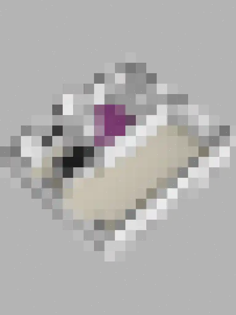 Steenakker 13 Ulft thumbnail 30