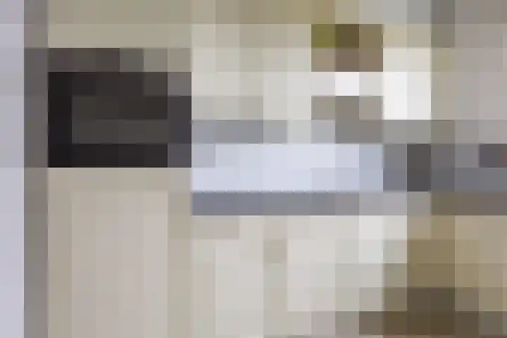 Steenakker 146 Druten thumbnail 12