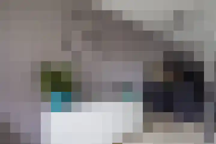 Steenakker 146 Druten thumbnail 14