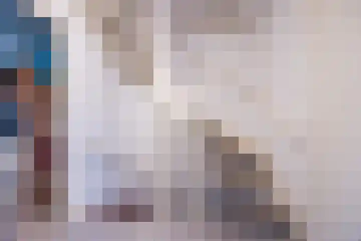 Steenakker 146 Druten thumbnail 17
