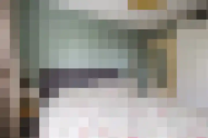 Steenakker 146 Druten thumbnail 20