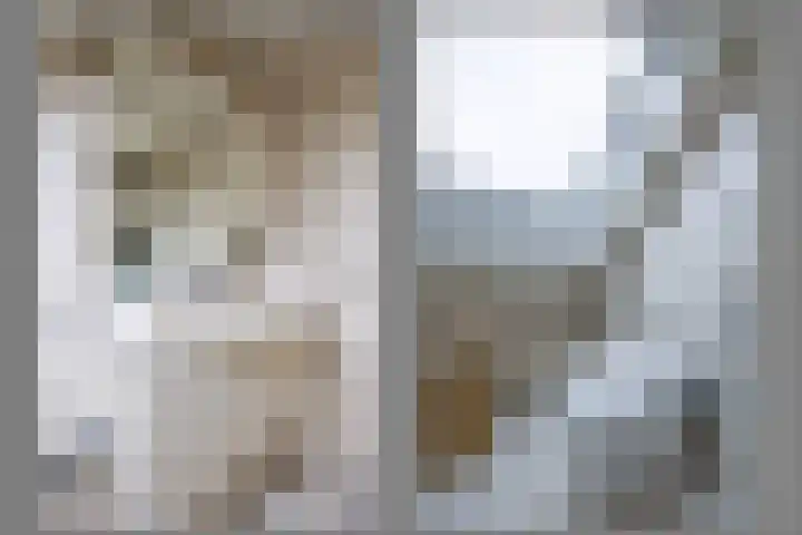 Steenakker 146 Druten thumbnail 26