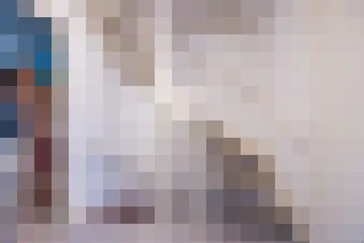 Steenakker 146 Druten thumbnail 27