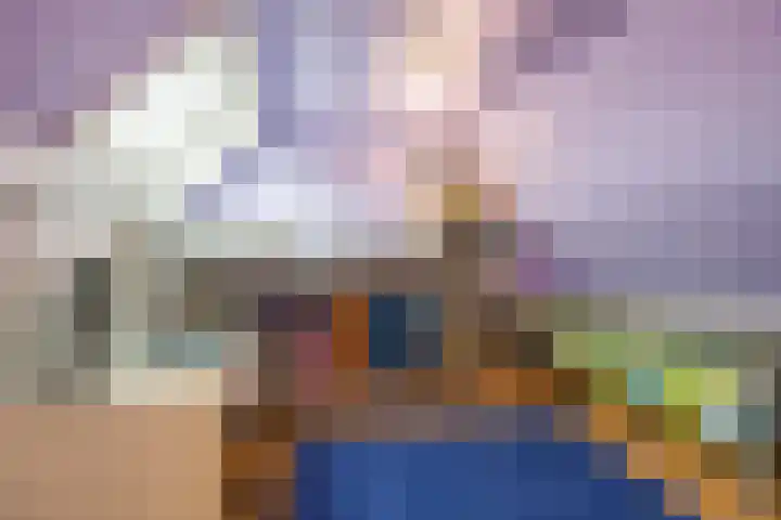 Steenakker 146 Druten thumbnail 28