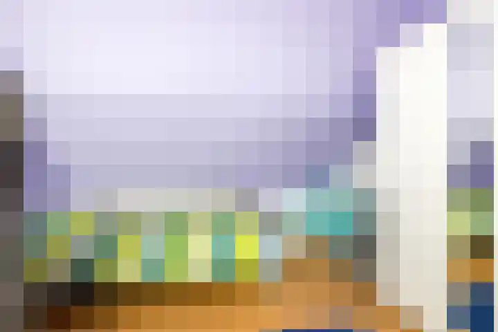Steenakker 146 Druten thumbnail 31