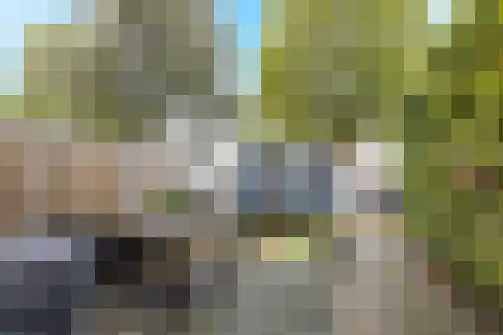 Steenakker 146 Druten thumbnail 33
