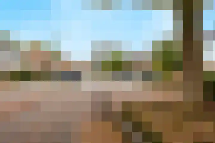 Steenakker 146 Druten thumbnail 36