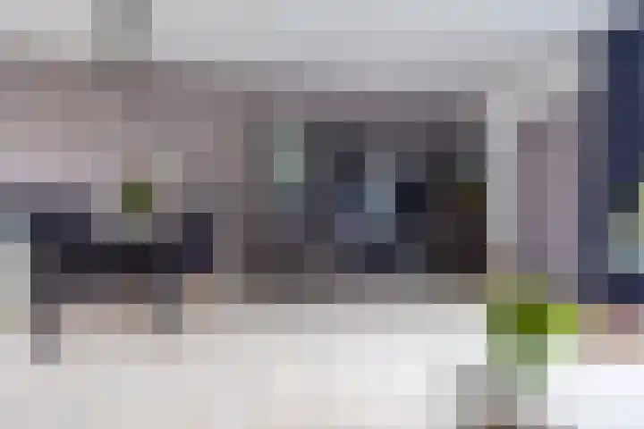 Steenakker 146 Druten thumbnail 8