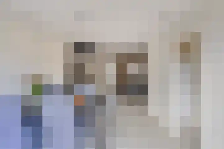 Steenakker 154 Druten thumbnail 12