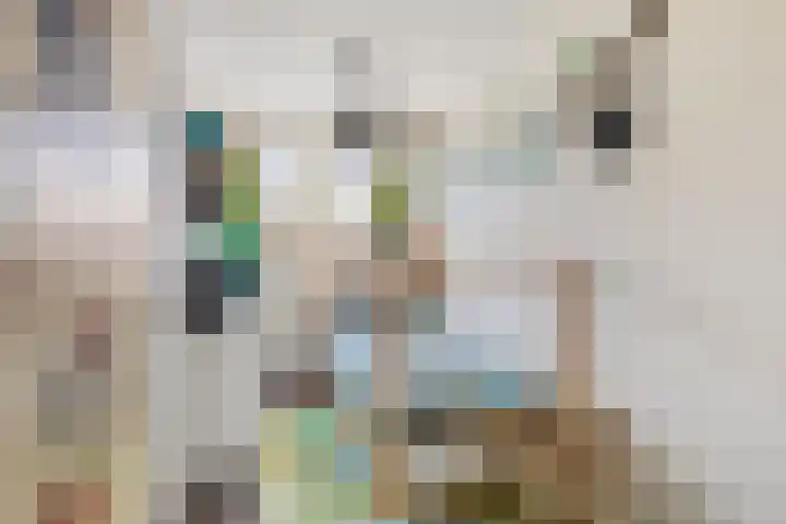 Steenakker 154 Druten thumbnail 22