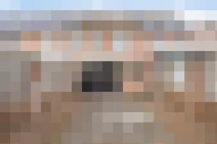Steenakker 154 Druten thumbnail 29