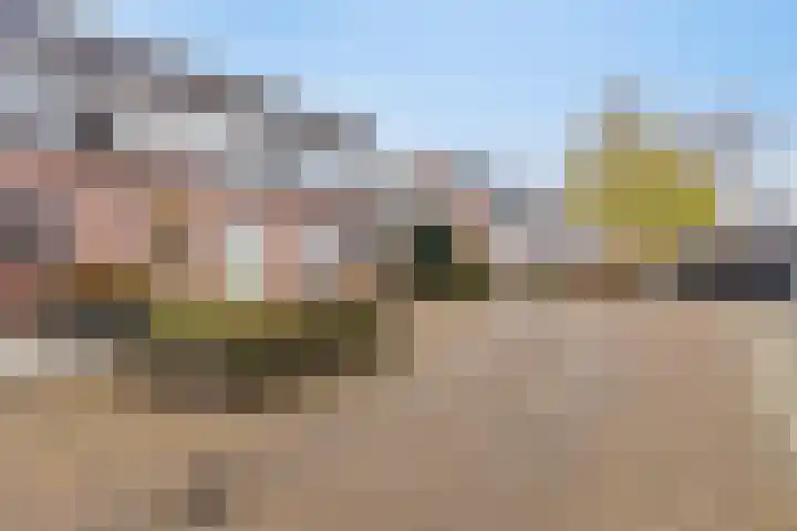 Steenakker 154 Druten thumbnail 5