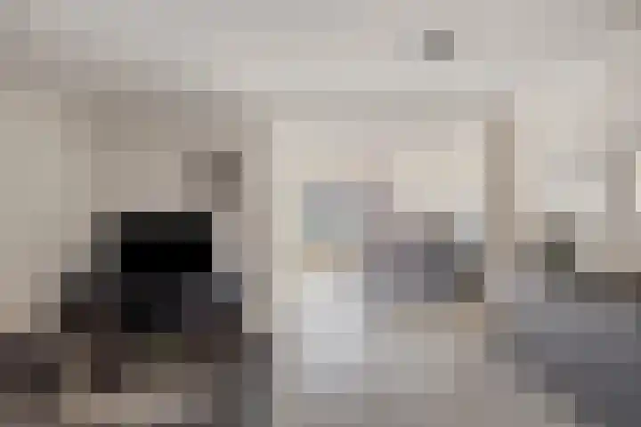 Steenakker 154 Druten thumbnail 8