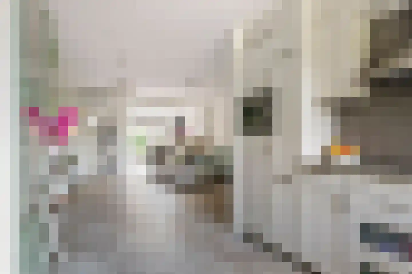 Steenakker 157 Druten thumbnail 12