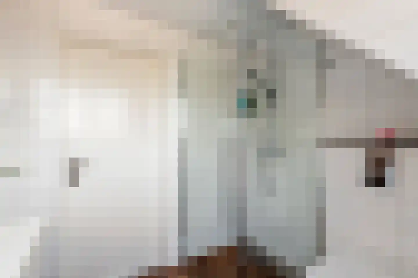 Steenakker 157 Druten thumbnail 21